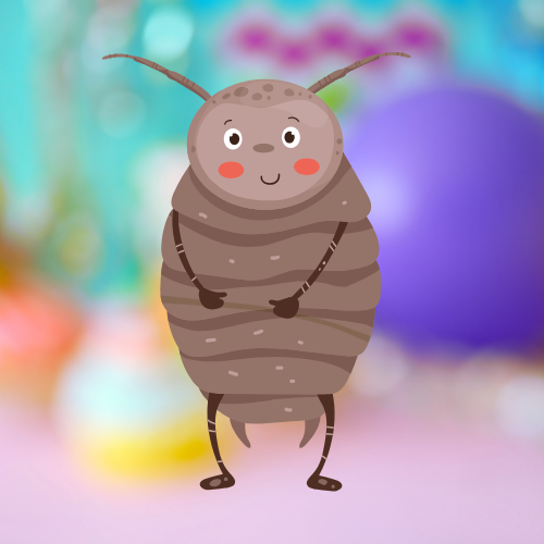 Roly Polys