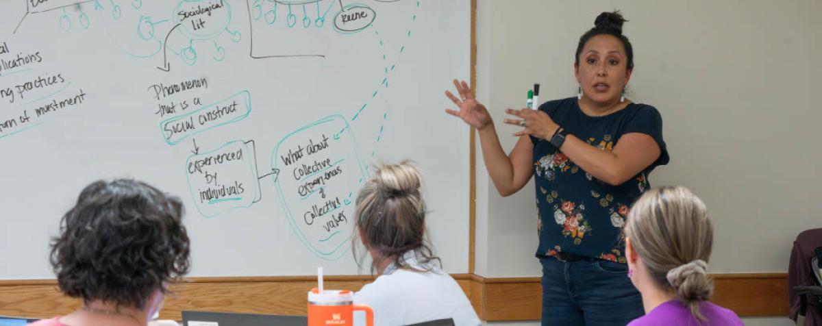 Professor teaching a class